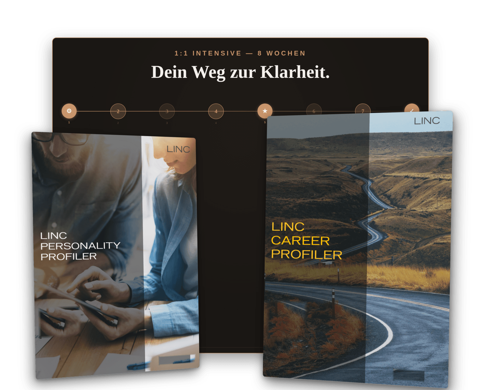 1:1 Intensive — LINC Personality Profiler + Career Profiler