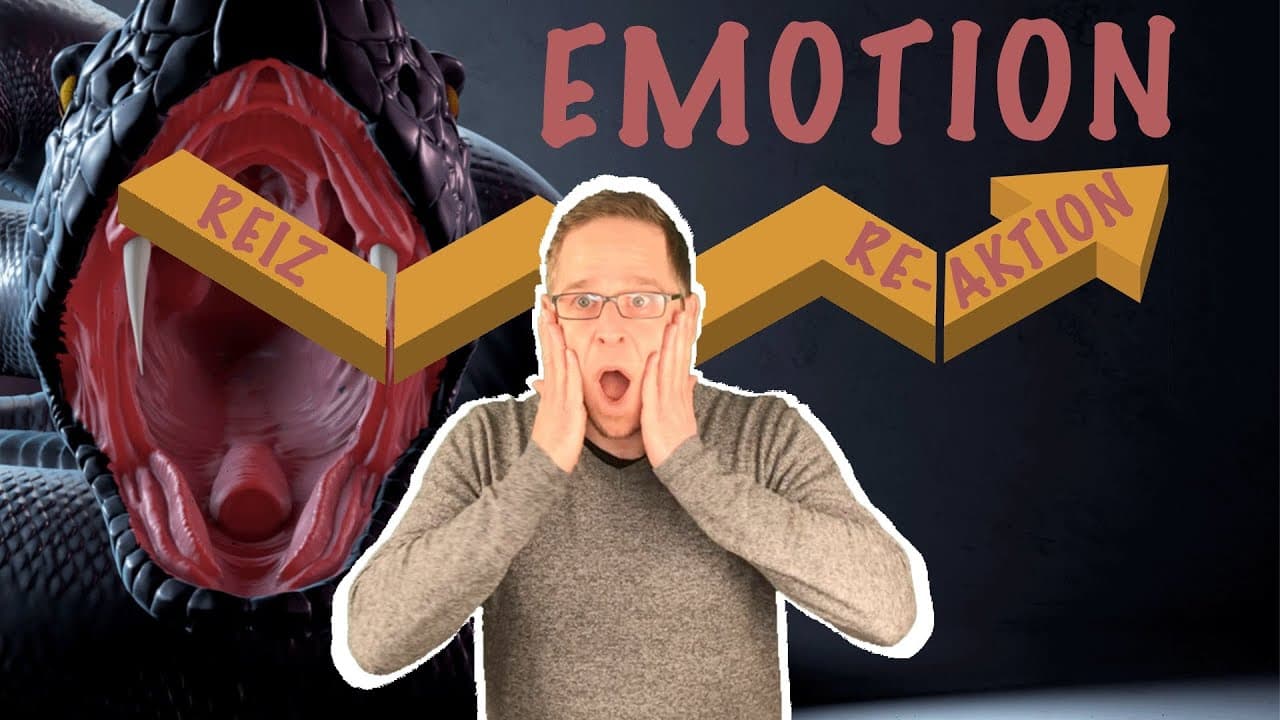 Was sind Emotionen und wie gehe ich mit ihnen um?